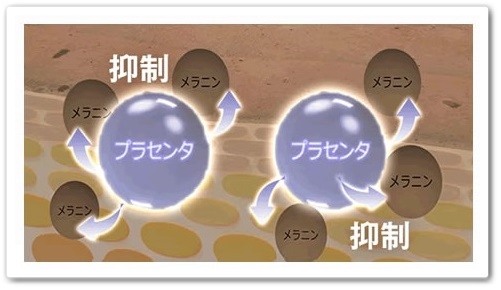 メビウス製薬 ホワイトニングリフトケアゲル 口コミ シミ 美白 オールインワンゲル シミケア成分