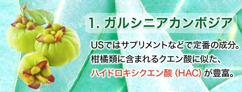 ダーククレンズ 口コミ 効果 コンブチャクレンズ チャコール ドリンク 置き換え ブログ パッケージ 成分1