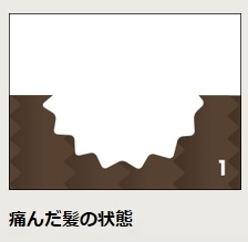 トリコレ(Tricore) 温感ヘッドスパトリートメント 口コミ 効果 感想 評価 評判 販売店 ブログ 髪の内部2